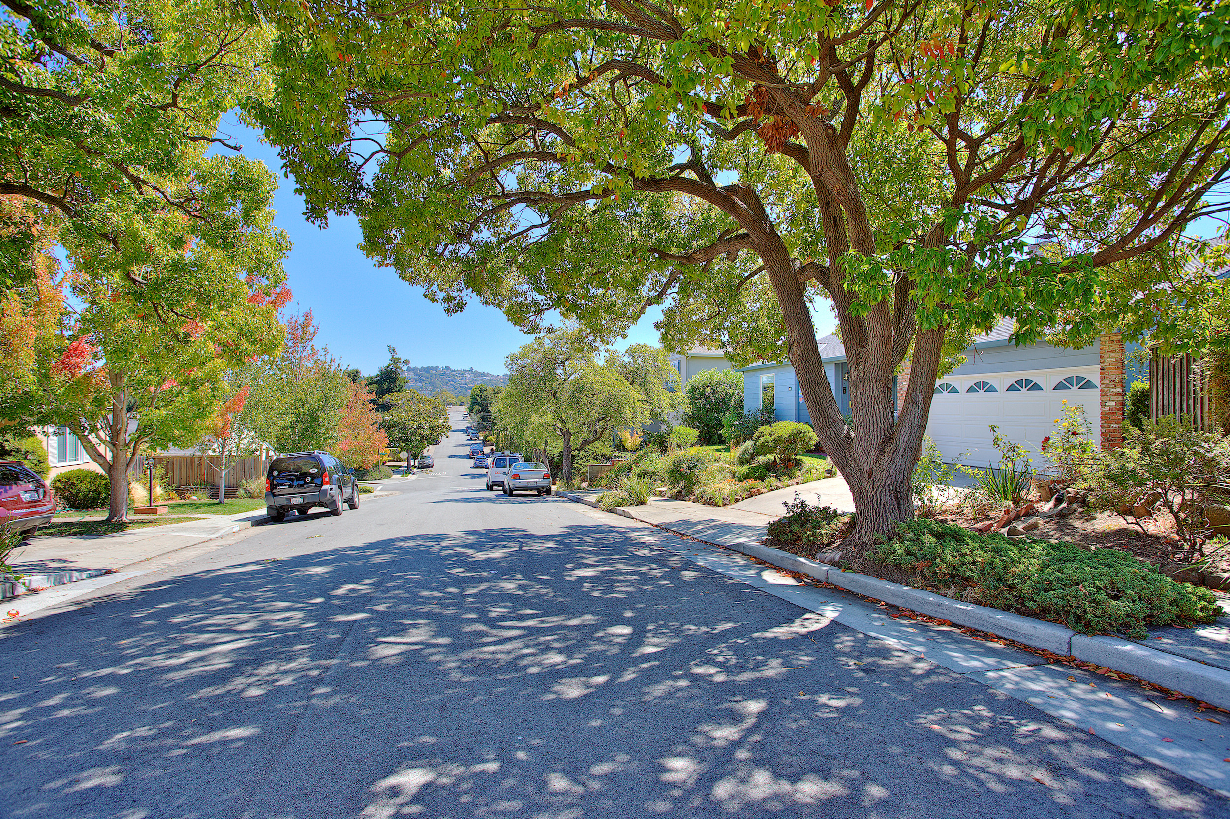 Wide angle view of a street with trees in the San Mateo Terrace/Beresford area in San Mateo